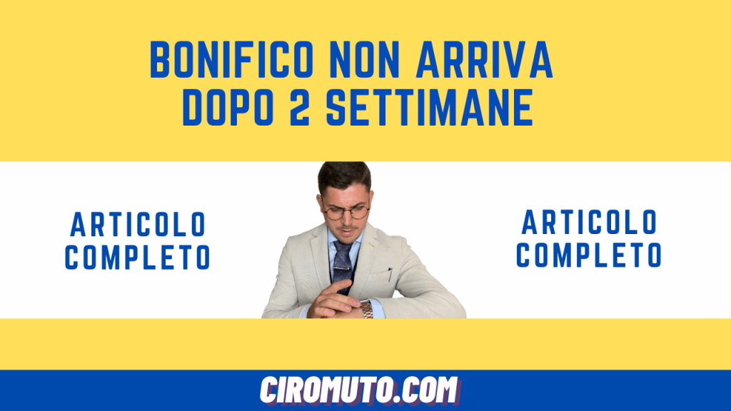 bonifico non arriva dopo 2 settimane